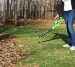 Souffleur De Feuilles Greenworks Sans Batterie 40 V G40AB 2400807 -Vendite Pelouse Pro 1200x1062