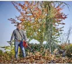 Einhell GE- LB 36/210 Li E Souffleur à Feuilles Sans Brosse 27 Einhell GE- LB 36/210 Li E Souffleur à Feuilles Sans Brosse -Vendite Pelouse Pro 1200x1074 2