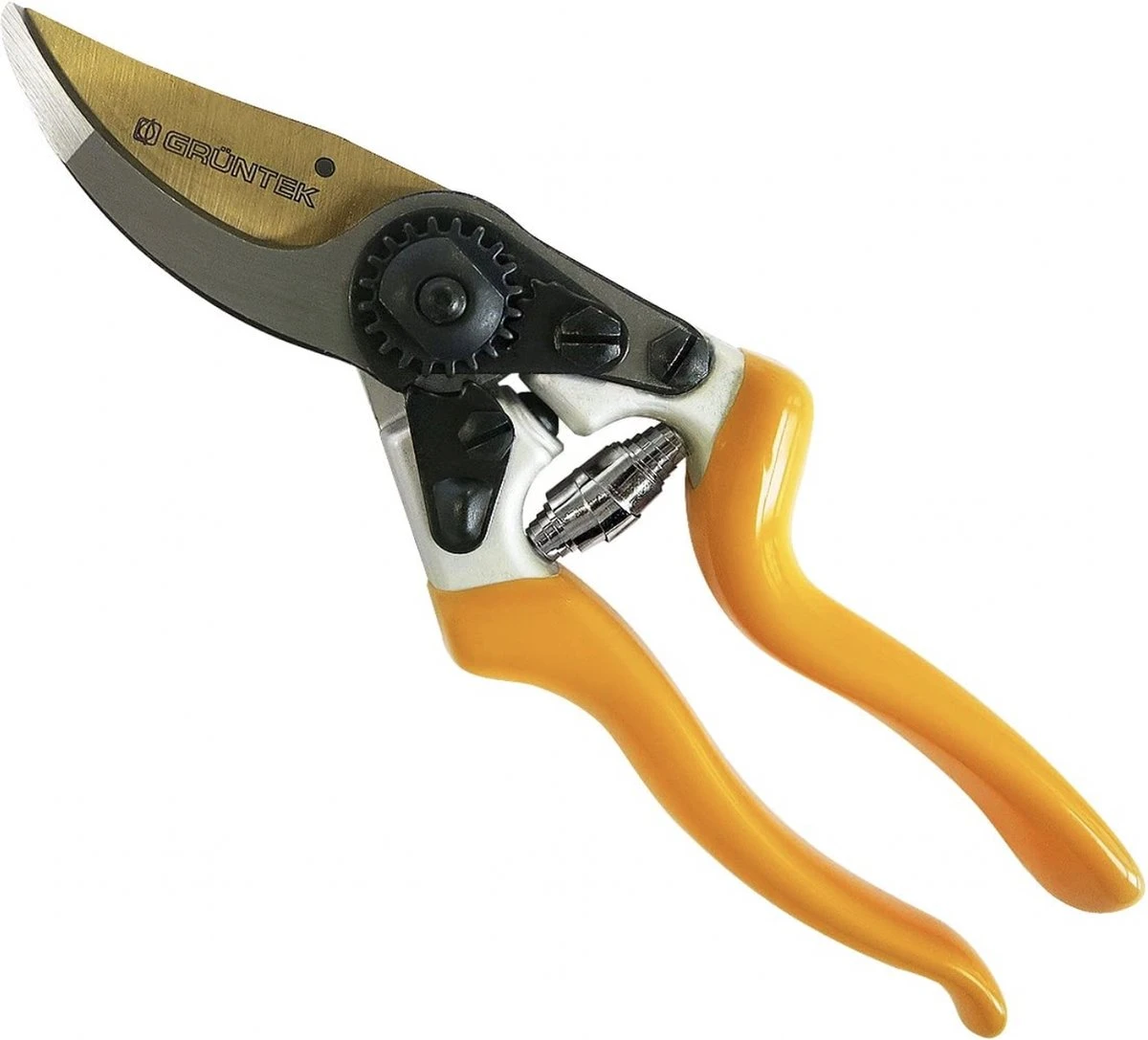 GRÜNTEK Sécateur Z-25 Cisailles à Arbre Premium Revêtues De Titane Forgé Cisailles à Vin 215 Mm, Revêtement Antiadhésif Bypass 1 GRÜNTEK Sécateur Z-25 Cisailles à Arbre Premium Revêtues De Titane Forgé Cisailles à Vin 215 Mm, Revêtement Antiadhésif Bypass