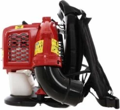 Midori Souffleur De Feuilles Arrière à Essence - Moteur 2 Temps 42,7 CC - Avec Sangle De Transport -Vendite Pelouse Pro 1200x1099 1