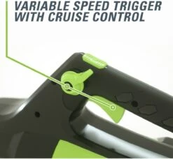 Souffleur De Feuilles à Batterie Greenworks 60 Volts GD60AB -Vendite Pelouse Pro 1200x1107