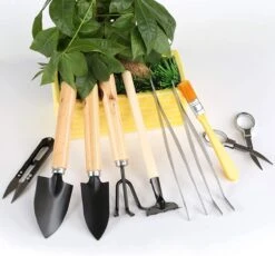 Lihao Mini Ensemble D'outils De Jardin 9 Pièces Pour Mini Plantes Succulentes Pot Plantes Bonsaï Outils Travail De Jardin (MEHRWEG) -Vendite Pelouse Pro 1200x1118 6