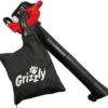 Souffleur à Feuilles Grizzly Tools BLSB 3030 - 1,0 KW - 300 Km/h - 10,5 M³/min