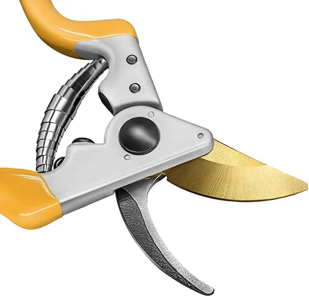 GRÜNTEK Sécateur Z-25 Cisailles à Arbre Premium Revêtues De Titane Forgé Cisailles à Vin 215 Mm, Revêtement Antiadhésif Bypass 6 GRÜNTEK Sécateur Z-25 Cisailles à Arbre Premium Revêtues De Titane Forgé Cisailles à Vin 215 Mm, Revêtement Antiadhésif Bypass – Image 6