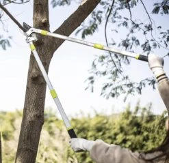 Coupe-branches Télescopiques TURBRO, Coupe-girafes à Cliquet, Cisailles à Arbre Avec Poignée Télescopique Réglable De 660 à 1040 Mm, Capacité De Coupe De 40 Mm - Coupe De Jardins, De Plantes, De Branches Ou De Bonsaïs 15 Coupe-branches Télescopiques TURBRO, Coupe-girafes à Cliquet, Cisailles à Arbre Avec Poignée Télescopique Réglable De 660 à 1040 Mm, Capacité De Coupe De 40 Mm - Coupe De Jardins, De Plantes, De Branches Ou De Bonsaïs -Vendite Pelouse Pro 1200x1160 7