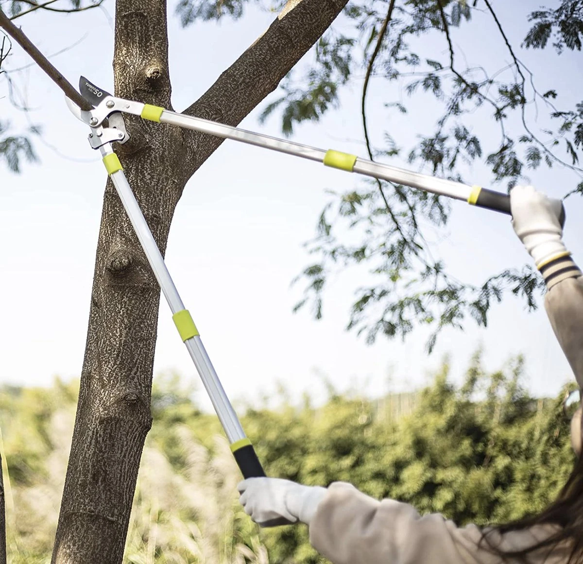 Coupe-branches Télescopiques TURBRO, Coupe-girafes à Cliquet, Cisailles à Arbre Avec Poignée Télescopique Réglable De 660 à 1040 Mm, Capacité De Coupe De 40 Mm - Coupe De Jardins, De Plantes, De Branches Ou De Bonsaïs 8 Coupe-branches Télescopiques TURBRO, Coupe-girafes à Cliquet, Cisailles à Arbre Avec Poignée Télescopique Réglable De 660 à 1040 Mm, Capacité De Coupe De 40 Mm - Coupe De Jardins, De Plantes, De Branches Ou De Bonsaïs – Image 8