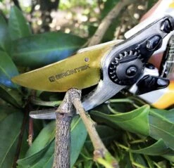 GRÜNTEK Sécateur Z-25 Cisailles à Arbre Premium Revêtues De Titane Forgé Cisailles à Vin 215 Mm, Revêtement Antiadhésif Bypass 21 GRÜNTEK Sécateur Z-25 Cisailles à Arbre Premium Revêtues De Titane Forgé Cisailles à Vin 215 Mm, Revêtement Antiadhésif Bypass -Vendite Pelouse Pro 1200x1161