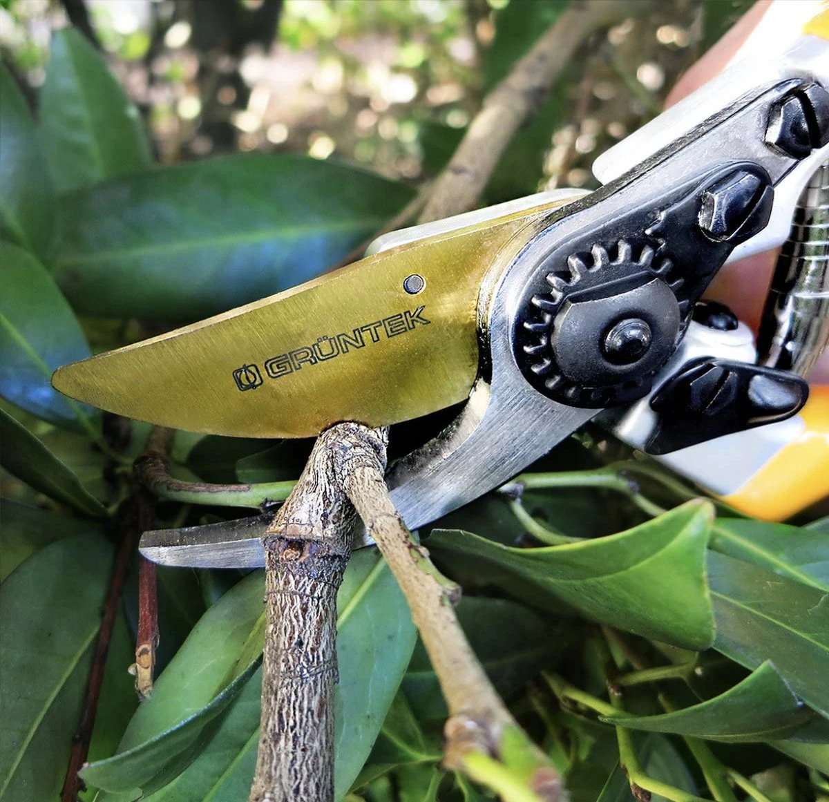 GRÜNTEK Sécateur Z-25 Cisailles à Arbre Premium Revêtues De Titane Forgé Cisailles à Vin 215 Mm, Revêtement Antiadhésif Bypass 10 GRÜNTEK Sécateur Z-25 Cisailles à Arbre Premium Revêtues De Titane Forgé Cisailles à Vin 215 Mm, Revêtement Antiadhésif Bypass – Image 10