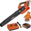 Souffleur De Feuilles Powerplus Dual Power POWDPGSET31 - 40V - Avec Batterie 40 V Et Chargeur