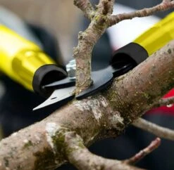 Taille-haie Télescopique - Coupe-branches - Ciseaux à Fleurs - Sécateur Élagage Télescopique - Taille Haie - Jardinage - Extensible - Élagage Des Branches 11 Taille-haie Télescopique - Coupe-branches - Ciseaux à Fleurs - Sécateur Élagage Télescopique - Taille Haie - Jardinage - Extensible - Élagage Des Branches -Vendite Pelouse Pro 1200x1174 1