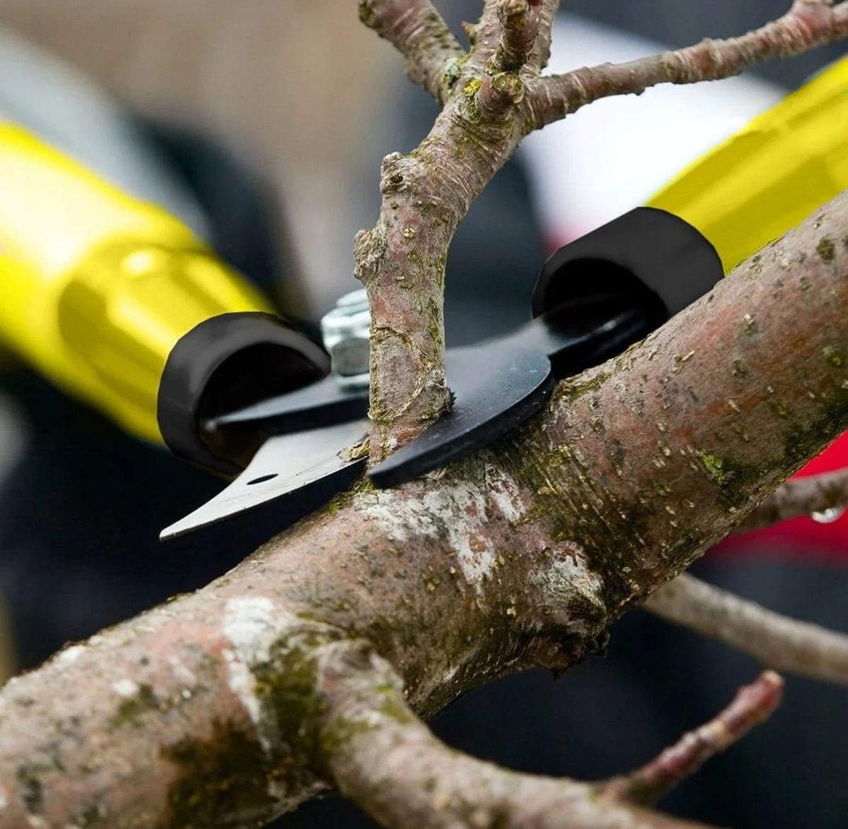 Taille-haie Télescopique - Coupe-branches - Ciseaux à Fleurs - Sécateur Élagage Télescopique - Taille Haie - Jardinage - Extensible - Élagage Des Branches 5 Taille-haie Télescopique - Coupe-branches - Ciseaux à Fleurs - Sécateur Élagage Télescopique - Taille Haie - Jardinage - Extensible - Élagage Des Branches – Image 5