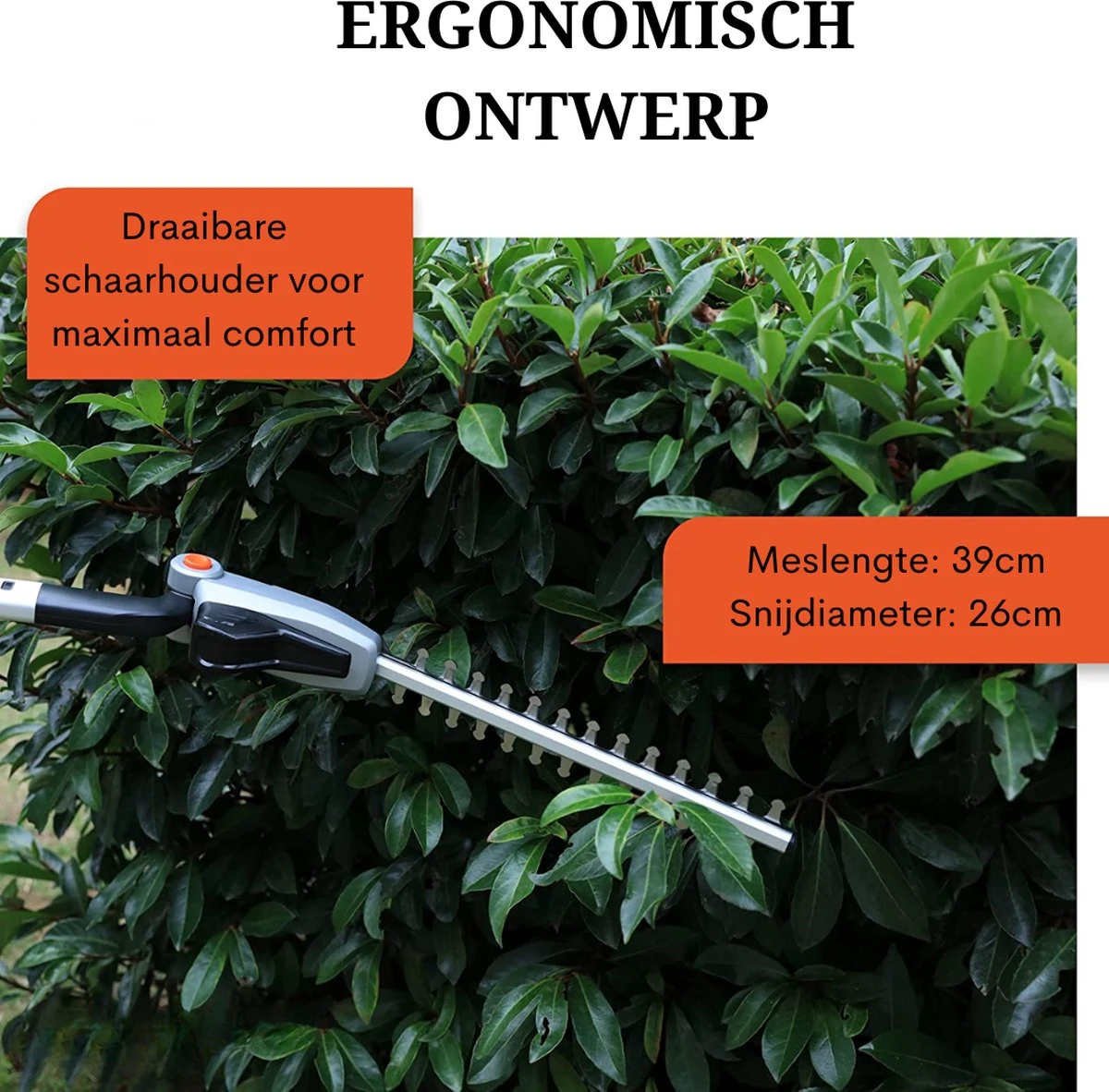 Coupe-herbe Sans Fil - Tondeuse à Gazon Sans Fil - Coupe-herbe Et Taille-haie Dans L'emballage - Batterie Lithium-ion 12 V/4, 0 Ah - 50 M² - Largeur De Coupe 23 Cm - Hauteur De Coupe En 3 étapes 2 Coupe-herbe Sans Fil - Tondeuse à Gazon Sans Fil - Coupe-herbe Et Taille-haie Dans L'emballage - Batterie Lithium-ion 12 V/4, 0 Ah - 50 M² - Largeur De Coupe 23 Cm - Hauteur De Coupe En 3 étapes – Image 2