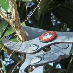 WOLF-Garten Sécateur à ébrancher POWER CUT RR*** 900 T - Longueur 650-900mm - Télescope - Bras De Levier En Aluminium - 4x Plus De Puissance - Tension De La Lame Réglable 15 WOLF-Garten Sécateur à ébrancher POWER CUT RR*** 900 T - Longueur 650-900mm - Télescope - Bras De Levier En Aluminium - 4x Plus De Puissance - Tension De La Lame Réglable -Vendite Pelouse Pro 1200x1194 1