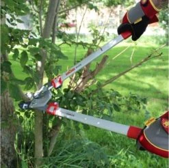 Élagueur D'élagage WOLF-Garten POWER CUT RS 650 - Longueur 650mm - Bras De Levier En Aluminium - 2x Plus De Puissance - Tension De Lame Réglable - Enclume -Vendite Pelouse Pro 1200x1195 1