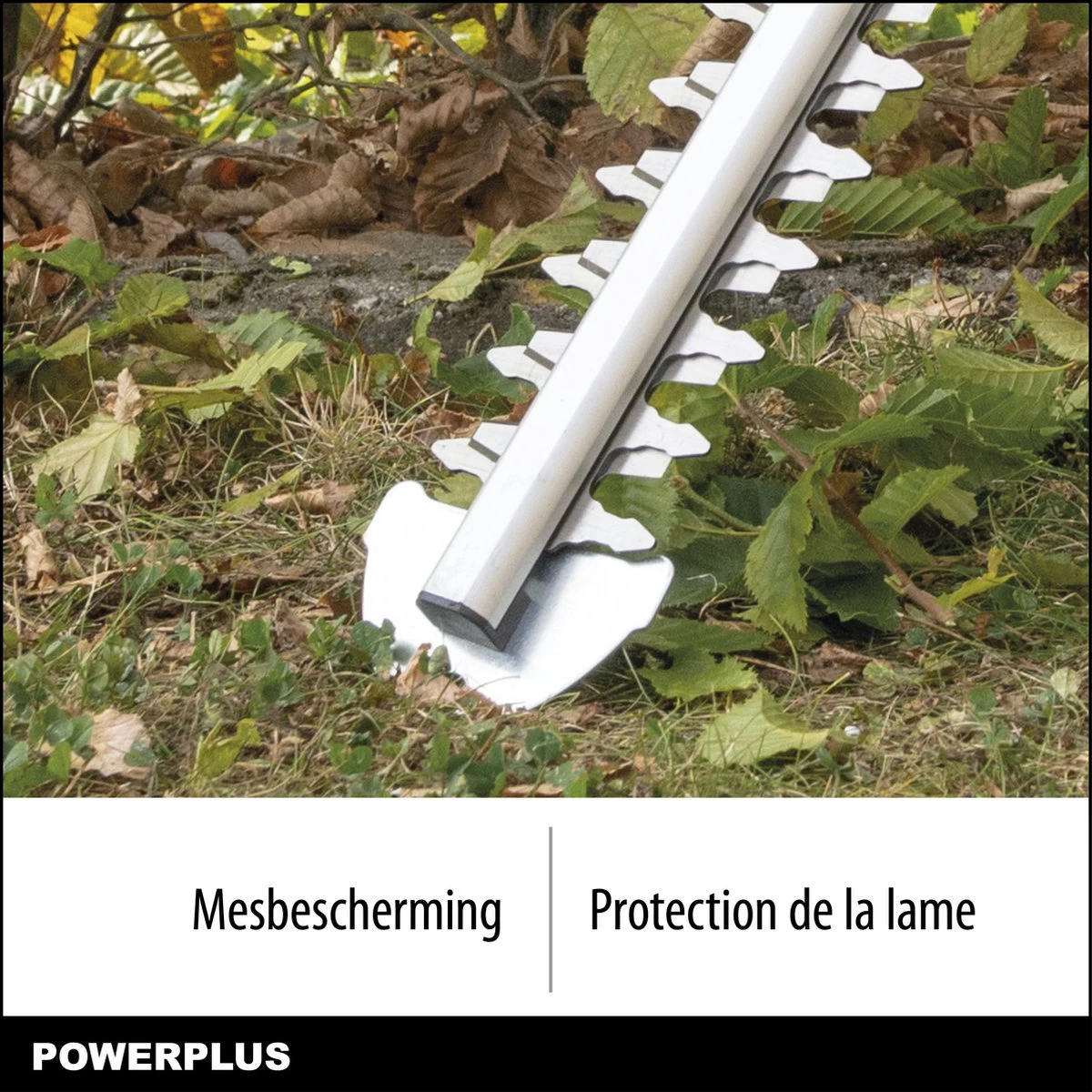 Taille-haie électrique Powerplus POWXG2007 - 550 Watt - Lame De 52,5 Cm De Long 6 Taille-haie électrique Powerplus POWXG2007 - 550 Watt - Lame De 52,5 Cm De Long – Image 6