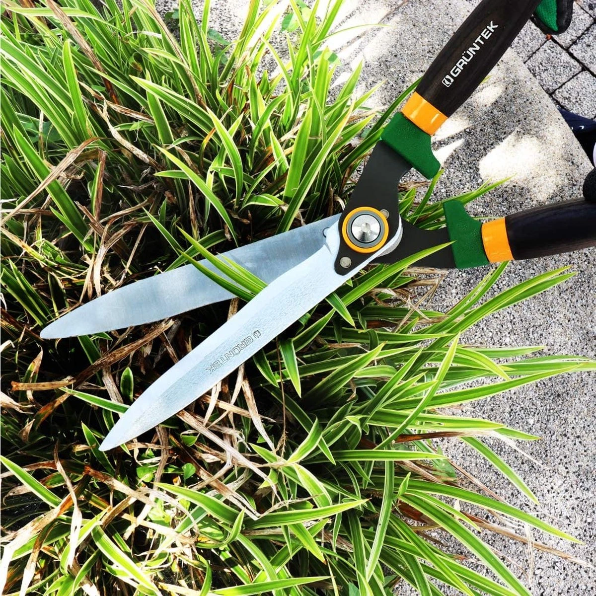 Taille-haie Panther 540 Mm, Sécateur Et Cisaille à Arbustes, Mesure En Acier Durable, Cartographié, Poignées Ergonomiques En Bois De Frêne, Très Bon Tranchant, Taille-haie De Jardin Professionnel 3 Taille-haie Panther 540 Mm, Sécateur Et Cisaille à Arbustes, Mesure En Acier Durable, Cartographié, Poignées Ergonomiques En Bois De Frêne, Très Bon Tranchant, Taille-haie De Jardin Professionnel – Image 3