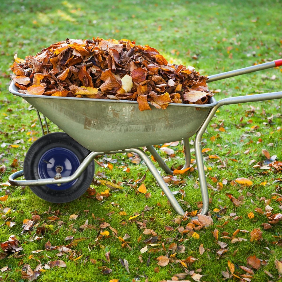 Roue De Brouette Relaxdays 4.80 4.00-8 - Pneu De Brouette Avec Essieu - Jante En Acier Bleu Pneumatique 6 Roue De Brouette Relaxdays 4.80 4.00-8 - Pneu De Brouette Avec Essieu - Jante En Acier Bleu Pneumatique – Image 6