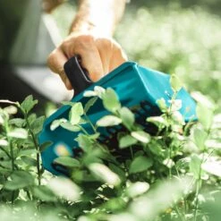 Cueilleur De Navaris Gants - Peigne à Baies Pour Récolter Les Myrtilles, Les Groseilles, Les Baies De Sureau - Récolter Les Baies Sans Dommage 8 Cueilleur De Navaris Gants - Peigne à Baies Pour Récolter Les Myrtilles, Les Groseilles, Les Baies De Sureau - Récolter Les Baies Sans Dommage -Vendite Pelouse Pro 1200x1200 140