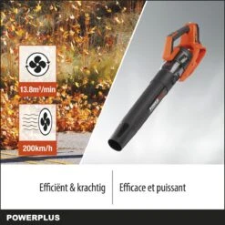 Souffleur De Feuilles Powerplus Dual Power POWDPGSET31 - 40V - Avec Batterie 40 V Et Chargeur 11 Souffleur De Feuilles Powerplus Dual Power POWDPGSET31 - 40V - Avec Batterie 40 V Et Chargeur -Vendite Pelouse Pro 1200x1200 1416