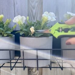 *** Ciseaux à Fleurs - Tranchant Comme Un Rasoir Pour Des Surfaces De Coupe Lisses - Ciseaux à Fruits, Ciseaux De Récolte, Ciseaux à Herbes, Sécateurs Pour Fleurs, Plantes Et Herbes - De Heble® *** 8 *** Ciseaux à Fleurs - Tranchant Comme Un Rasoir Pour Des Surfaces De Coupe Lisses - Ciseaux à Fruits, Ciseaux De Récolte, Ciseaux à Herbes, Sécateurs Pour Fleurs, Plantes Et Herbes - De Heble® *** -Vendite Pelouse Pro 1200x1200 15