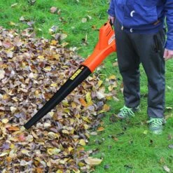 Coast Balayeuse Souffleuse à Feuilles Sans Fil Avec Batterie Souffleur électrique Léger 20V 200 Km/h 8 Coast Balayeuse Souffleuse à Feuilles Sans Fil Avec Batterie Souffleur électrique Léger 20V 200 Km/h -Vendite Pelouse Pro 1200x1200 1544