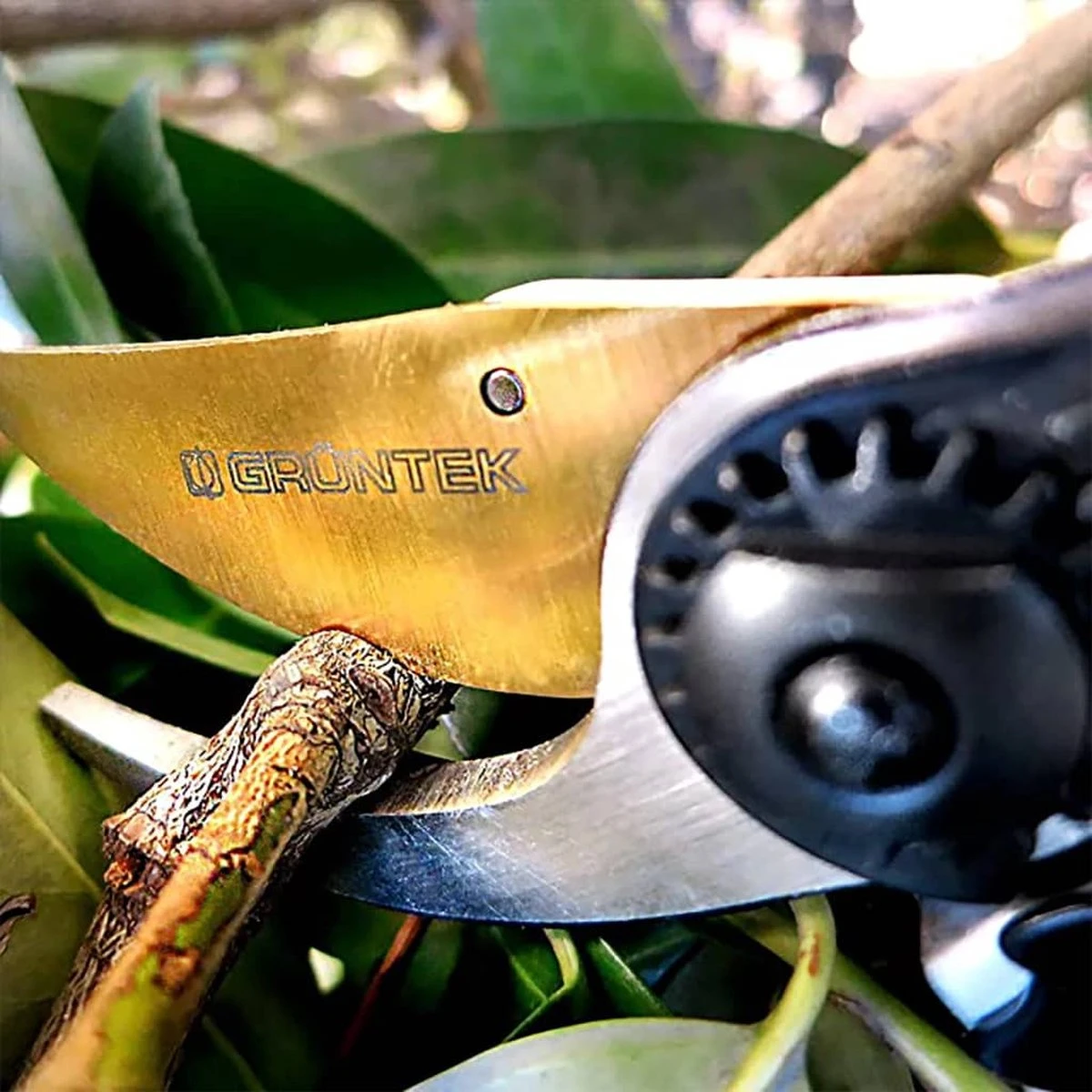 GRÜNTEK Sécateur Z-25 Cisailles à Arbre Premium Revêtues De Titane Forgé Cisailles à Vin 215 Mm, Revêtement Antiadhésif Bypass 7 GRÜNTEK Sécateur Z-25 Cisailles à Arbre Premium Revêtues De Titane Forgé Cisailles à Vin 215 Mm, Revêtement Antiadhésif Bypass – Image 7