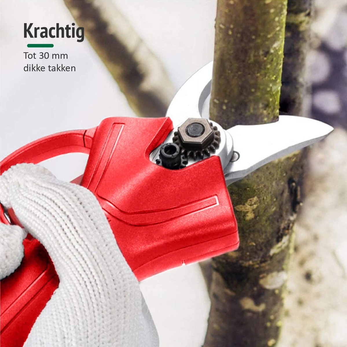 Sécateur à Batterie Foumt SS-2 - Sécateur électrique - Taille-haie électrique - Sécateur - Mini Tronçonneuse - Étui Inclus - Batterie Extra - Rouge 11 Sécateur à Batterie Foumt SS-2 - Sécateur électrique - Taille-haie électrique - Sécateur - Mini Tronçonneuse - Étui Inclus - Batterie Extra - Rouge – Image 11