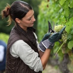 Sécateur SPGOOD Bypass (KC-916S) Pour Branches Sèches Et Branches Fraîches, Avec Revêtement Anti-dur, Lames En Acier De Haute Qualité, Pour Bois Anciens Et Secs Jusqu'à 20 Mm De Diamètre -Vendite Pelouse Pro 1200x1200 29