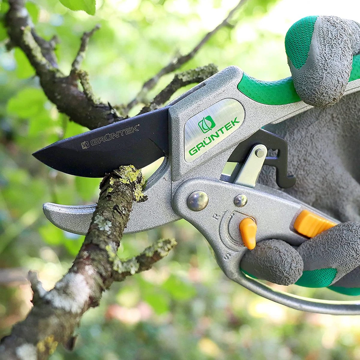 Grüntek Sécateur à Cliquet KAKADU, Jusqu'à Ø24 Mm, Cisailles à Arbre Avec Cliquet Marche/arrêt, Cisaille à Enclume Pour Branches Boisées, épaisseur De Coupe Jusqu'à 24 Mm, Bypass Cisailles De Jardin 2 Grüntek Sécateur à Cliquet KAKADU, Jusqu'à Ø24 Mm, Cisailles à Arbre Avec Cliquet Marche/arrêt, Cisaille à Enclume Pour Branches Boisées, épaisseur De Coupe Jusqu'à 24 Mm, Bypass Cisailles De Jardin – Image 2