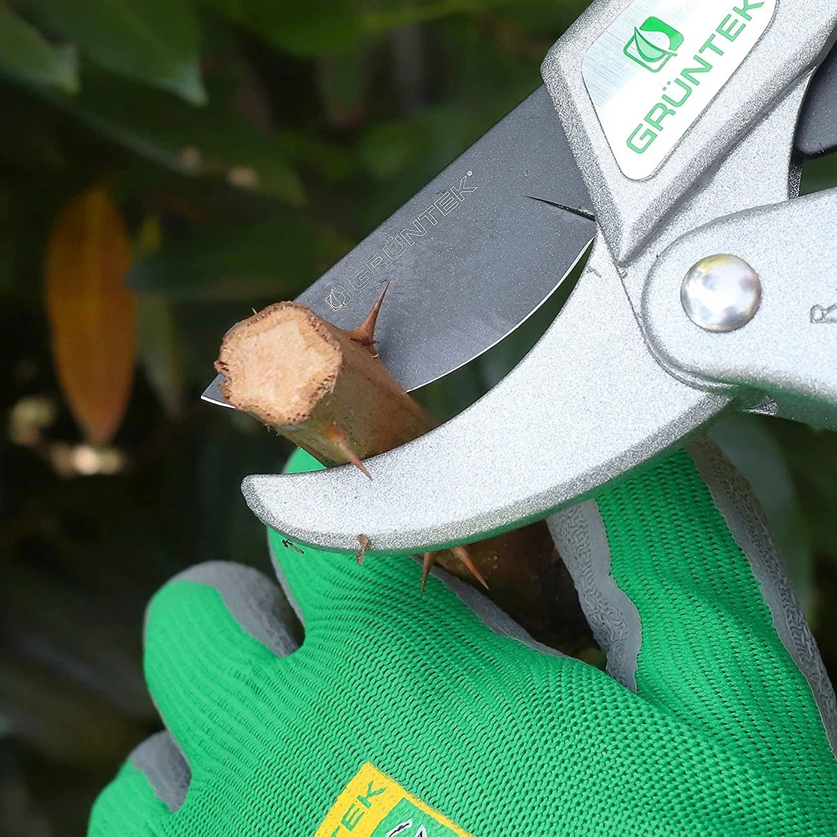 Grüntek Sécateur à Cliquet KAKADU, Jusqu'à Ø24 Mm, Cisailles à Arbre Avec Cliquet Marche/arrêt, Cisaille à Enclume Pour Branches Boisées, épaisseur De Coupe Jusqu'à 24 Mm, Bypass Cisailles De Jardin 4 Grüntek Sécateur à Cliquet KAKADU, Jusqu'à Ø24 Mm, Cisailles à Arbre Avec Cliquet Marche/arrêt, Cisaille à Enclume Pour Branches Boisées, épaisseur De Coupe Jusqu'à 24 Mm, Bypass Cisailles De Jardin – Image 4