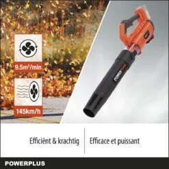 Souffleur à Feuilles Powerplus Dual Power POWDPGSET36 - 20V - Avec Batterie 20V Et Chargeur -Vendite Pelouse Pro 1200x1200 682