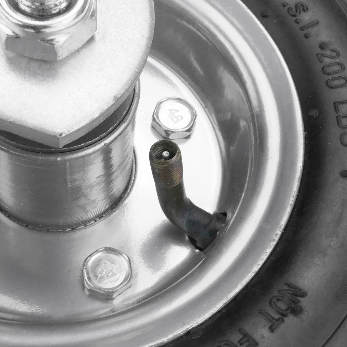 PrimeMatik - Roue De Brouette Fixe Pack De 2 90 Kg 8x2.5" 203x64 Mm. Courroie De Rechange Pour Plate-forme De Transport Et Chariots 5 PrimeMatik - Roue De Brouette Fixe Pack De 2 90 Kg 8x2.5" 203x64 Mm. Courroie De Rechange Pour Plate-forme De Transport Et Chariots – Image 5