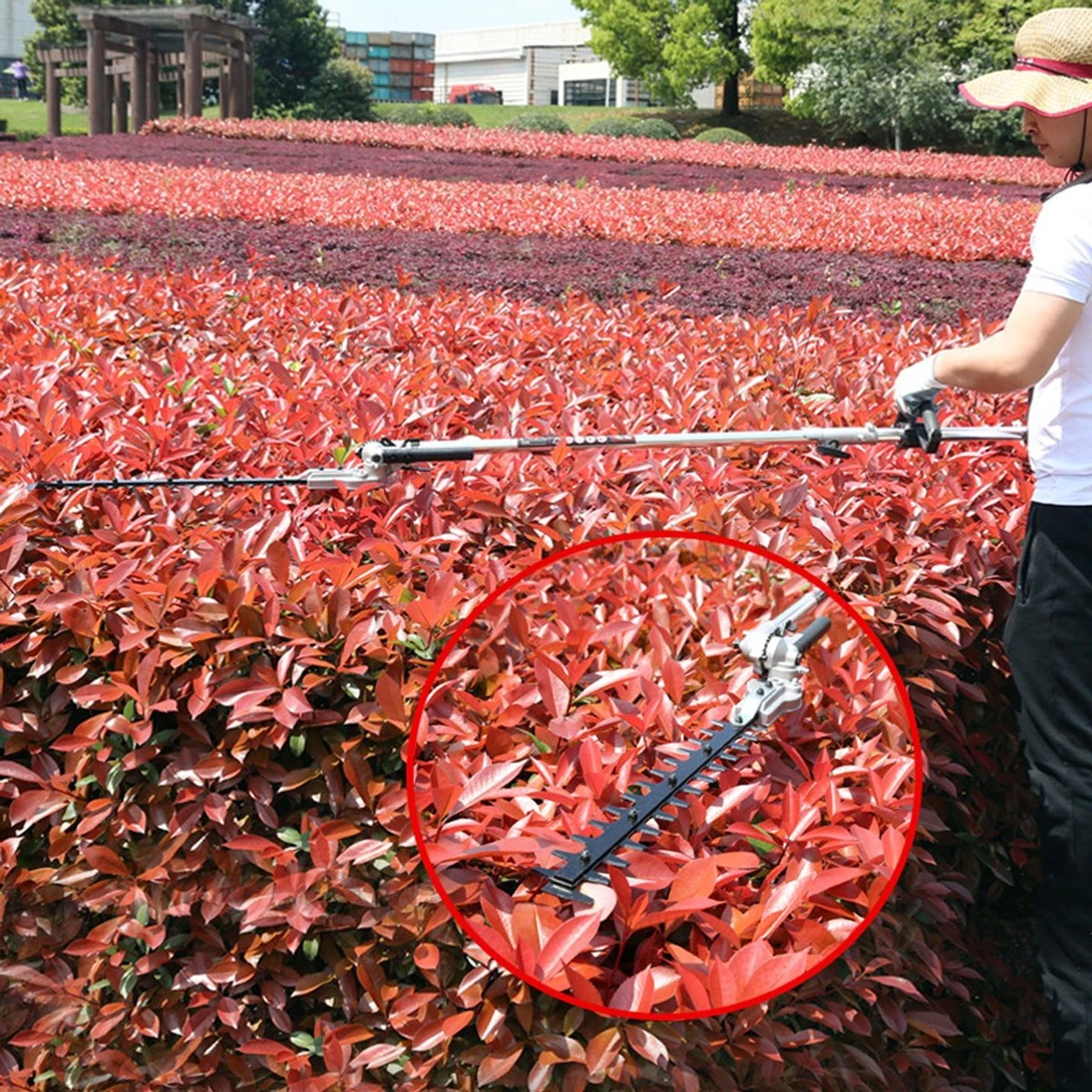 Outil Multifonction 5 En 1 Powertech, Débroussailleuse, Taille-haie, Tronçonneuse, Scie D'élagage + Bobine De Fil Et 3 Lames De Coupe 5 Outil Multifonction 5 En 1 Powertech, Débroussailleuse, Taille-haie, Tronçonneuse, Scie D'élagage + Bobine De Fil Et 3 Lames De Coupe – Image 5