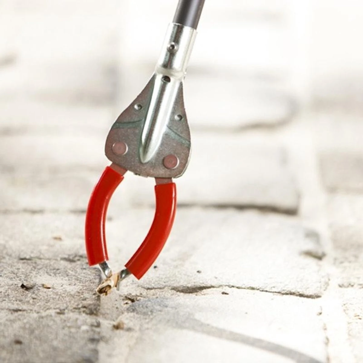 Jeu De Flora à Déchets Flora 90 Cm Avec Mors Métalliques Comprenant Gilet De Sécurité Et Sac Poubelle. 2 Jeu De Flora à Déchets Flora 90 Cm Avec Mors Métalliques Comprenant Gilet De Sécurité Et Sac Poubelle. – Image 2