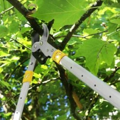 Survolez L'image Pour Agrandir Ébrancheur Télescopique GRÜNTEK XT 685 - 940 Mm Bypass Smart Cut, Sécateur, Lame Durcie 82 Mm, Poignées Réglables En 6 Positions 90 Jours - Garantie De Satisfaction ! ! -Vendite Pelouse Pro 1200x1200 81