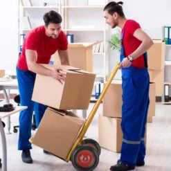 Roue De Brouette Relaxdays 4.80 4.00-8 - Roue De Secours - Pneu Anti-crevaison - Pneu De Brouette - 120 Kg 14 Roue De Brouette Relaxdays 4.80 4.00-8 - Roue De Secours - Pneu Anti-crevaison - Pneu De Brouette - 120 Kg -Vendite Pelouse Pro 1200x1200 938