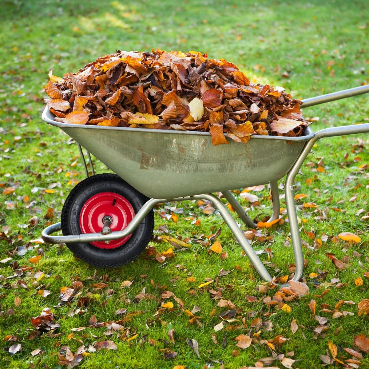 Roue De Brouette Relaxdays 4.80 4.00-8 - Roue De Secours Brouette - Pneu Pneumatique - Avec Adaptateurs Noir-rouge 4 Roue De Brouette Relaxdays 4.80 4.00-8 - Roue De Secours Brouette - Pneu Pneumatique - Avec Adaptateurs Noir-rouge – Image 4