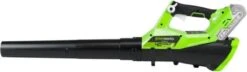 Souffleur De Feuilles Greenworks Sans Batterie 40 V G40AB 2400807 -Vendite Pelouse Pro 1200x348