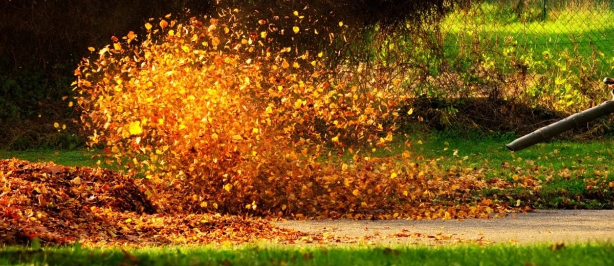 Midori Essence 3in1Blower - Moteur 2 Temps 25,4 CC - Soufflage, Succion Et Déchiquetage 2 Midori Essence 3in1Blower - Moteur 2 Temps 25,4 CC - Soufflage, Succion Et Déchiquetage – Image 2