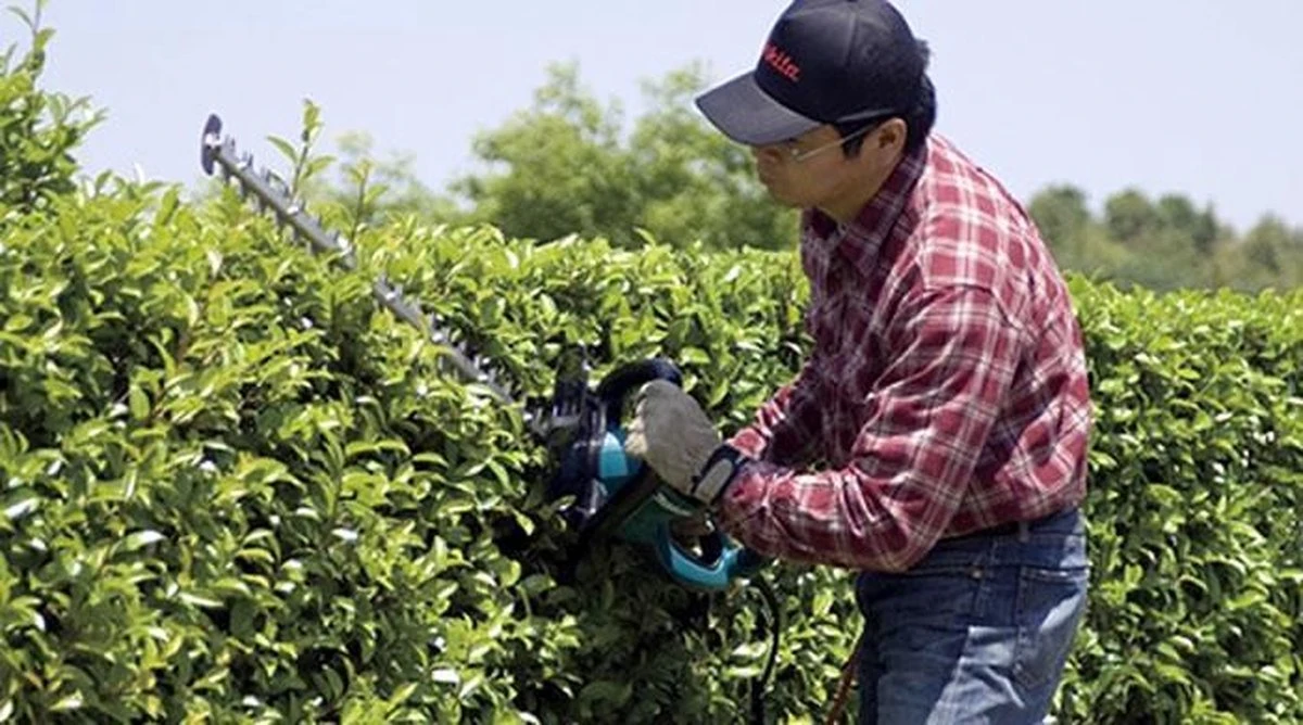 Taille-haie électrique Makita UH5570 - 550 W - Longueur De L'épée 55 Cm - épaisseur De Coupe Max.18 Mm 2 Taille-haie électrique Makita UH5570 - 550 W - Longueur De L'épée 55 Cm - épaisseur De Coupe Max.18 Mm – Image 2