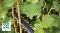 Taille-haie Bosch AdvancedHedgeCut 70 - 500 Watt - Capacité De Coupe 34 Mm - Longueur De Lame 70 Cm -Vendite Pelouse Pro 1200x675 4