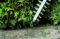 Taille-haie à Batterie Einhell 18 V - Longueur De Coupe: 55 Cm - Sans Batterie Ni Chargeur -Vendite Pelouse Pro 1200x777