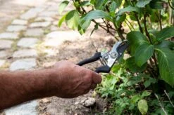 Black & Decker BLACK+DECKER Set Outils De Jardin 4 Pièces - Tapis De Sol, Sécateur, Pelle Et Griffe De Jardin - Capacité De Coupe De 13 Mm - Zwart/ Oranje 14 Black & Decker BLACK+DECKER Set Outils De Jardin 4 Pièces - Tapis De Sol, Sécateur, Pelle Et Griffe De Jardin - Capacité De Coupe De 13 Mm - Zwart/ Oranje -Vendite Pelouse Pro 1200x798 18