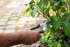 Black & Decker BLACK+DECKER Set Outils De Jardin 4 Pièces - Tapis De Sol, Sécateur, Pelle Et Griffe De Jardin - Capacité De Coupe De 13 Mm - Zwart/ Oranje 17 Black & Decker BLACK+DECKER Set Outils De Jardin 4 Pièces - Tapis De Sol, Sécateur, Pelle Et Griffe De Jardin - Capacité De Coupe De 13 Mm - Zwart/ Oranje -Vendite Pelouse Pro 1200x798 20