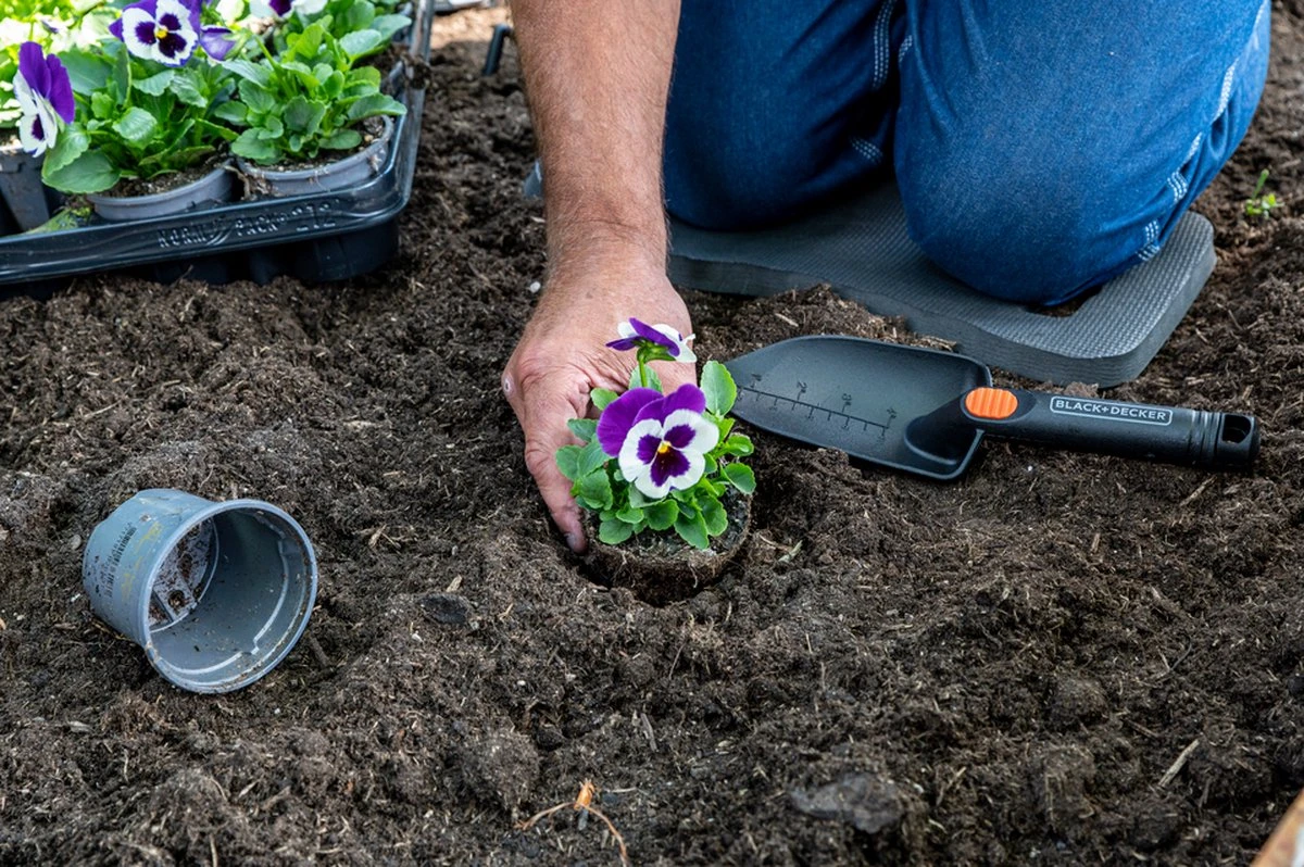 Black & Decker BLACK+DECKER Set Outils De Jardin 4 Pièces - Tapis De Sol, Sécateur, Pelle Et Griffe De Jardin - Capacité De Coupe De 13 Mm - Zwart/ Oranje 12 Black & Decker BLACK+DECKER Set Outils De Jardin 4 Pièces - Tapis De Sol, Sécateur, Pelle Et Griffe De Jardin - Capacité De Coupe De 13 Mm - Zwart/ Oranje – Image 12