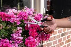 Black & Decker Ciseaux à Fleurs BLACK+DECKER - Ciseaux De Jardin Multifonctions - Lame De Coupe En Acier - Manche En Plastique - Coupe-fleurs Et Sécateur - Zwart/ Oranje -Vendite Pelouse Pro 1200x798 3