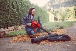 Piston Souffleur De Feuilles électrique Einhell 3000 W. -Vendite Pelouse Pro 1200x799 48