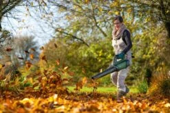 Bosch AdvancedLeafBlower 36V-750 Souffleur De Feuilles - Avec 1 Batterie 36 V Et Chargeur -Vendite Pelouse Pro 1200x800 114