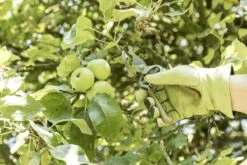 GEOLIA - Sécateur 1 Main - Lame Recourbée By-pass - Acier - Capacité D'ouverture 18 Mm - Manche Plastique Ergonomique 12 GEOLIA - Sécateur 1 Main - Lame Recourbée By-pass - Acier - Capacité D'ouverture 18 Mm - Manche Plastique Ergonomique -Vendite Pelouse Pro 1200x800 13