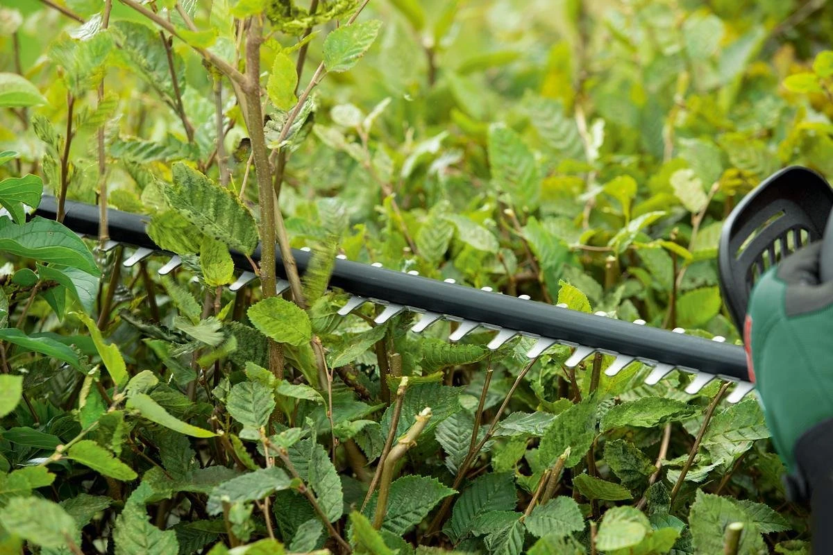 Taille-haie Bosch UniversalHedgeCut 18-50 - Avec 1 Batterie Li-Ion 18 V (2,5 Ah) Et Chargeur 7 Taille-haie Bosch UniversalHedgeCut 18-50 - Avec 1 Batterie Li-Ion 18 V (2,5 Ah) Et Chargeur – Image 7